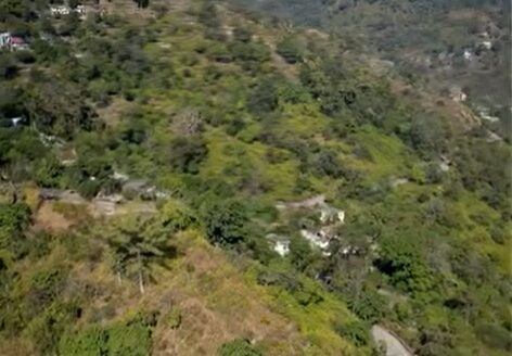Prime Land Investment Opportunity in Ediya, Uttarakhand